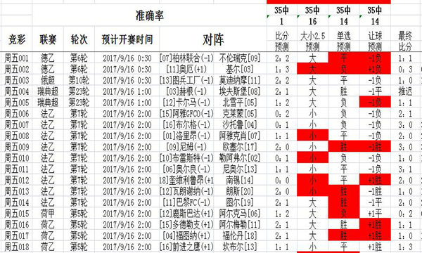 二四六246天天彩,全面执行分析数据_10DM19.96.31