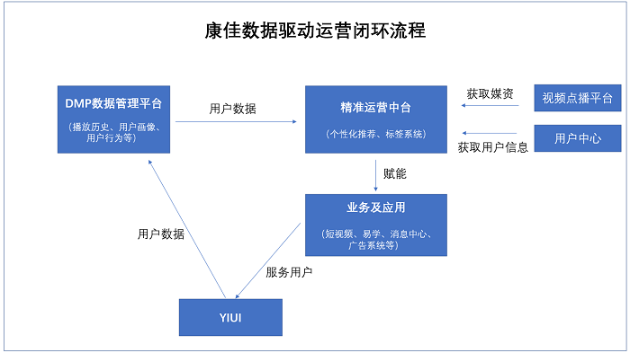 新澳精准资料免费提供,数据驱动执行设计_策略版95.228