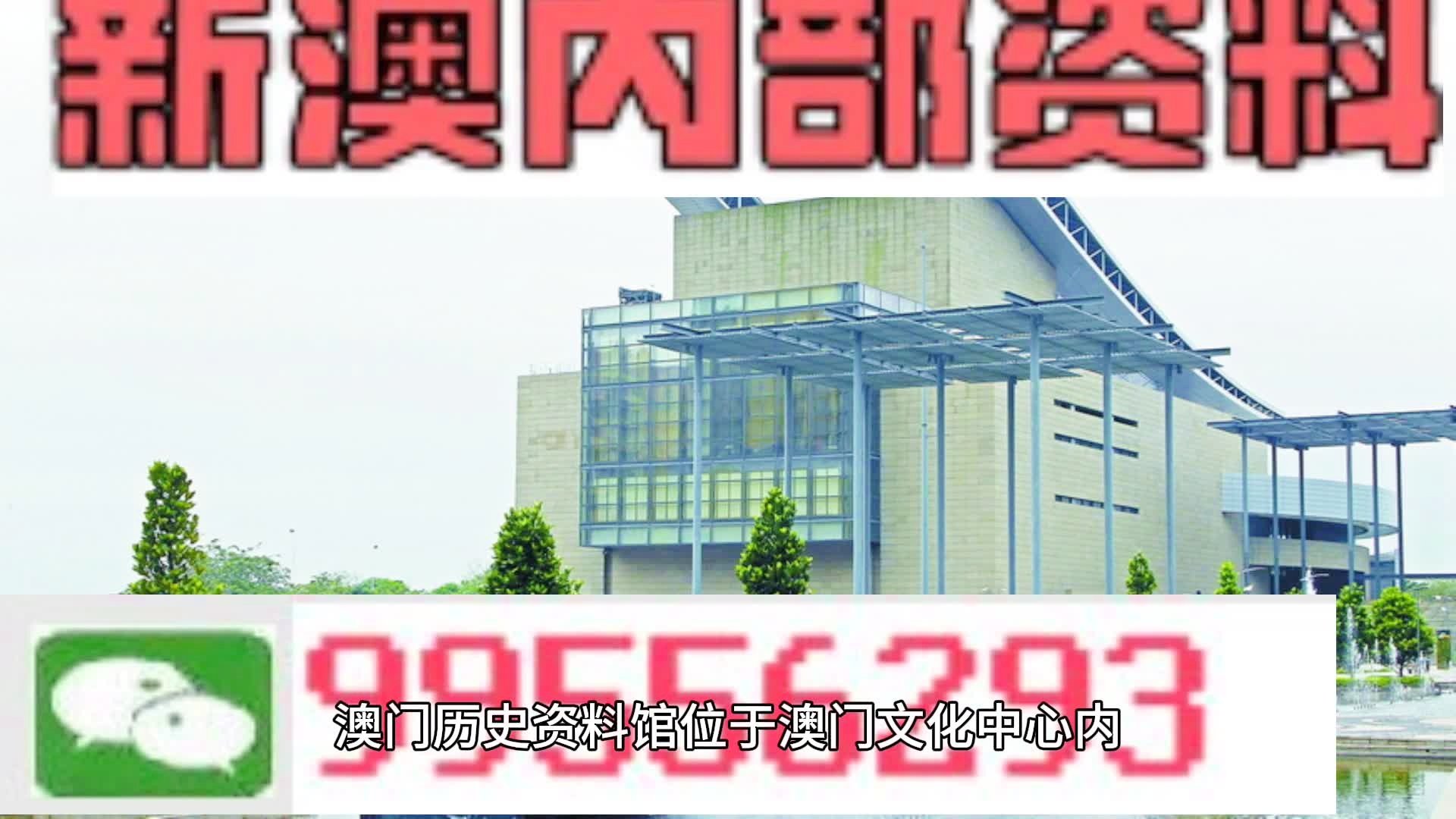 2024年新澳门王中王免费,准确资料解释落实_安卓11.713