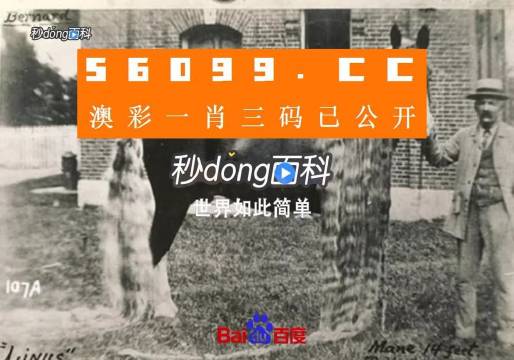 澳门一肖一码一一特一中厂,国产化作答解释落实_DP33.534