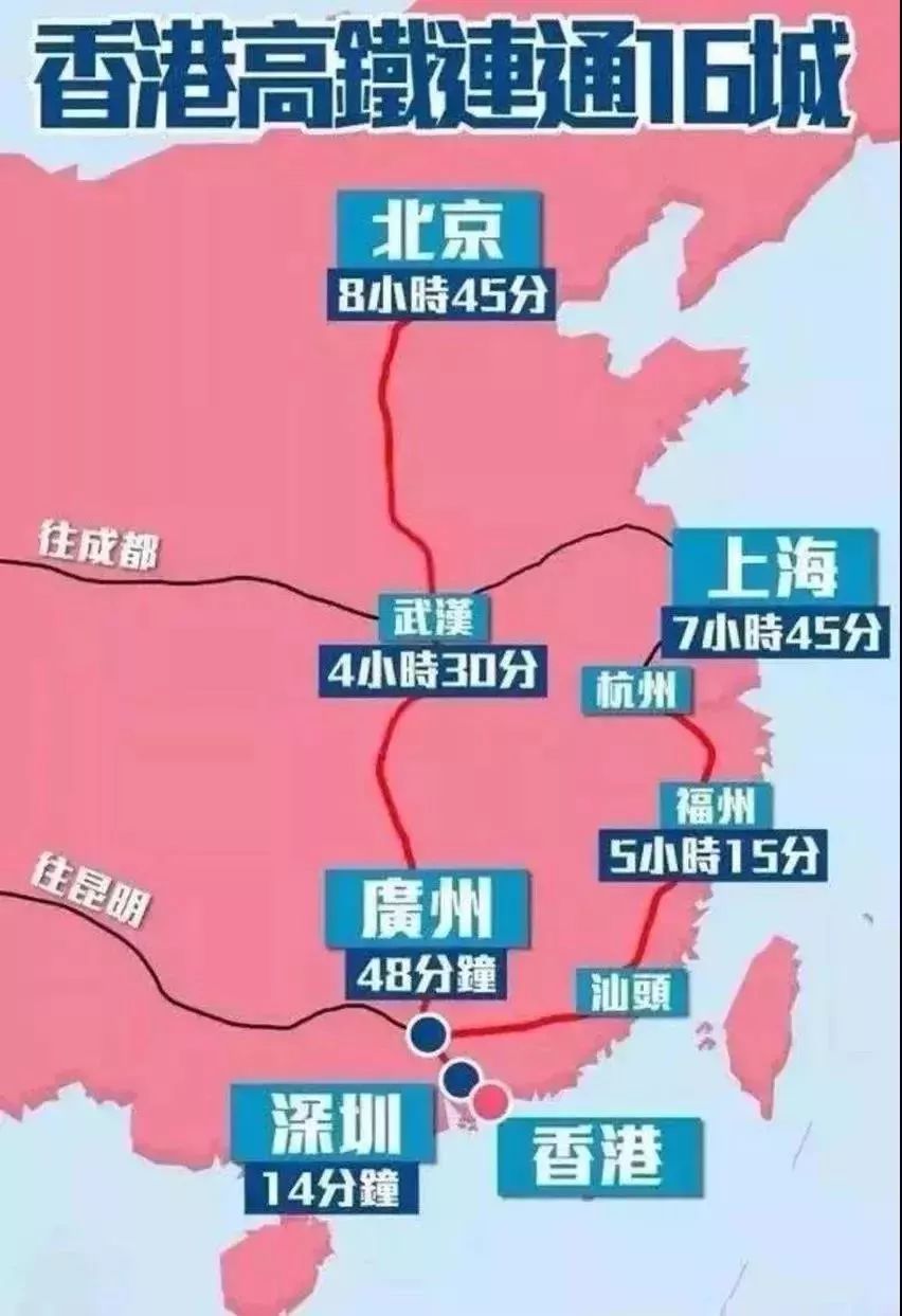 今晚香港出什么的生肖,实用性执行策略讲解_策略版79.47