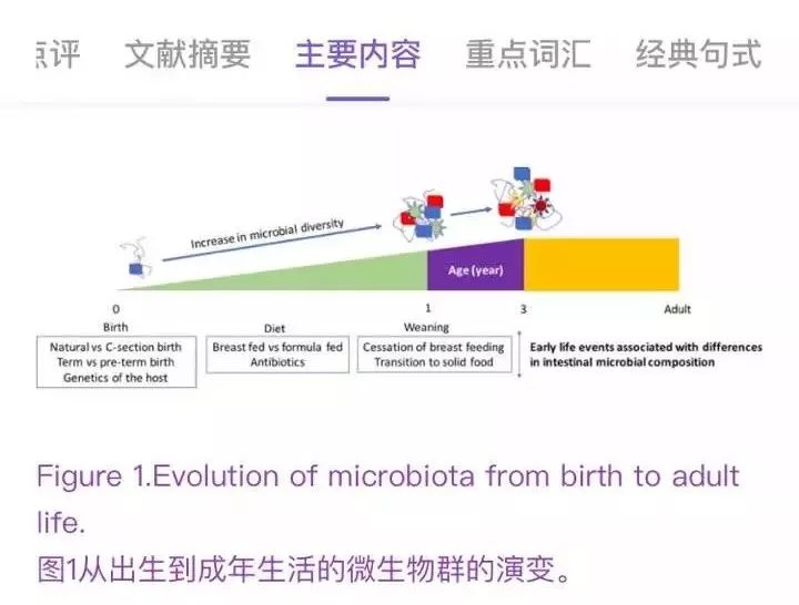 新奥门特免费资料大全管家婆料,绝对经典解释落实_XT90.259