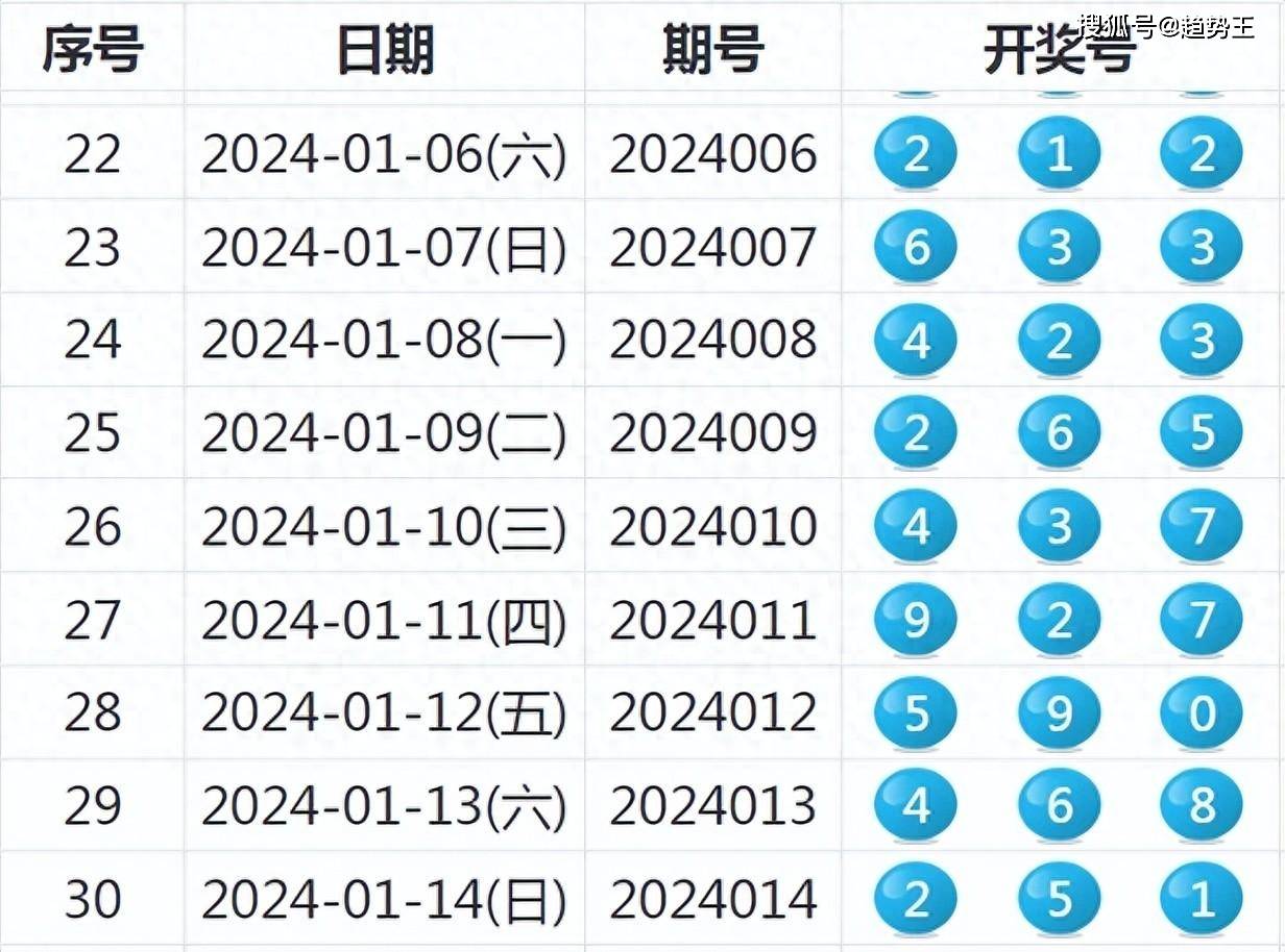 2024新澳开奖结果,数据驱动方案实施_V90.215