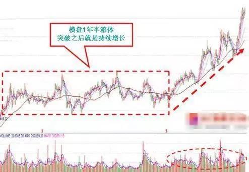 2024特马今晚开奖,仿真技术实现_经典款57.695