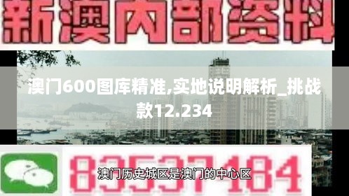 澳门600图库精准｜数据解释说明规划