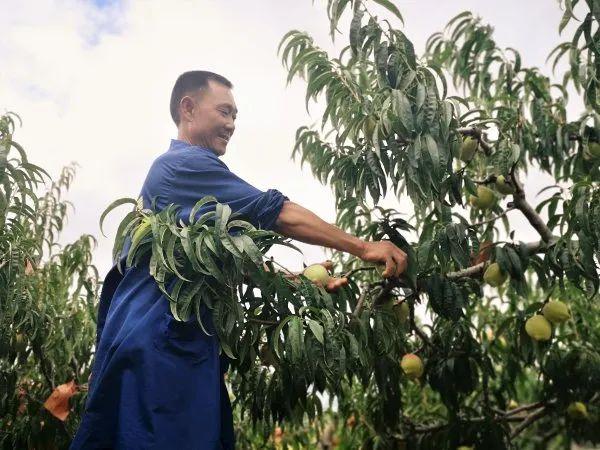 蒙自58同城网最新招聘信息全面解读