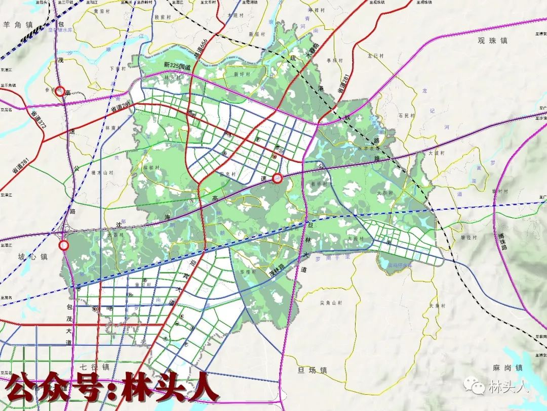 电白区林头镇最新规划图揭晓，描绘未来繁荣蓝图展望