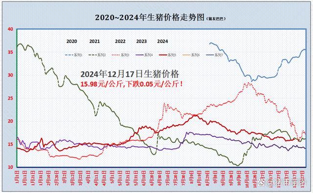 最新猪价动态解析与展望