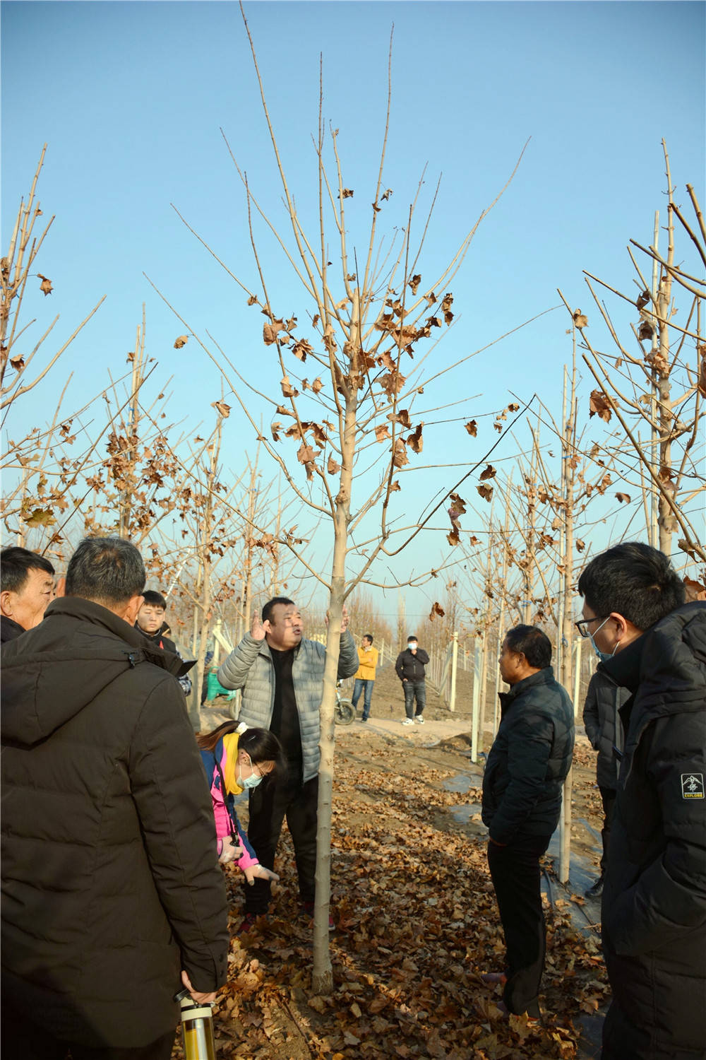 海门市三厂苗圃最新新闻动态发布